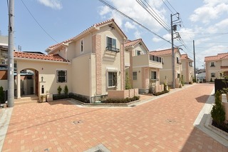 00ODT_1763.jpg