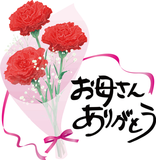 カーネーション.jpg