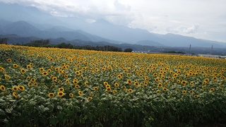 IMG_20150810_144834.jpg