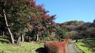 IMG_20151127_134431.jpg
